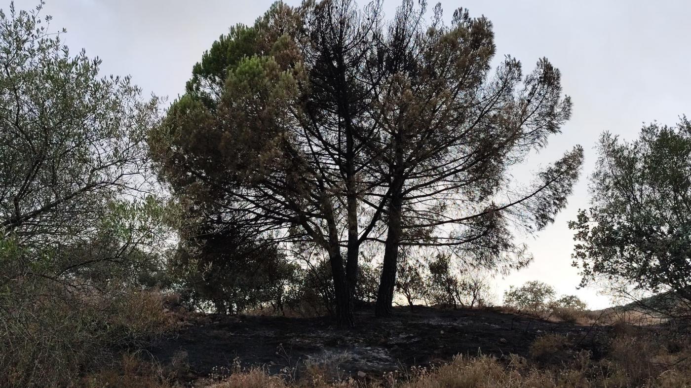 Se da por estabilizado el incendio iniciado ayer en la sierra de Córdoba