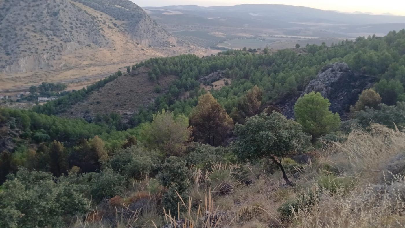 Extinguido el incendio forestal declarado en el paraje Cortijo Guerrero de Antequera