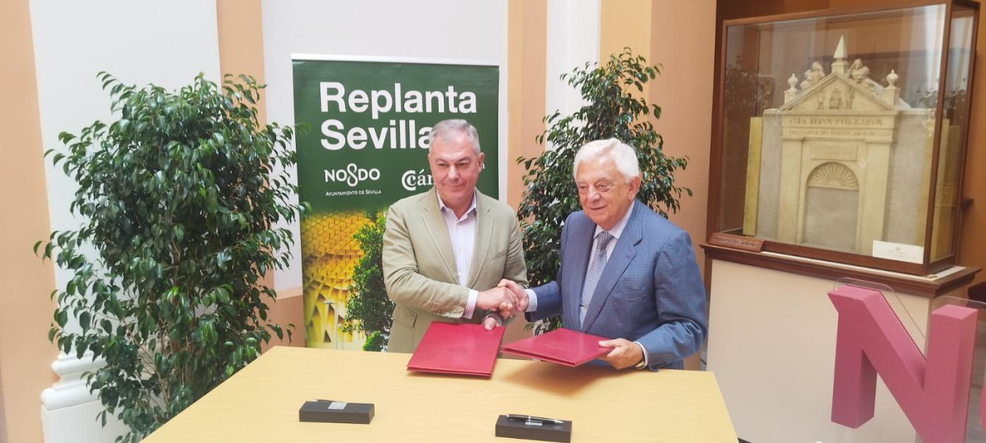 Replanta, tras plantar 200, se abre a los ciudadanos para que apadrinen árboles