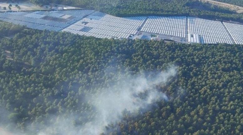 Controlado el incendio de Srgovia que llegó a gravedad 1 en la tarde del jueves