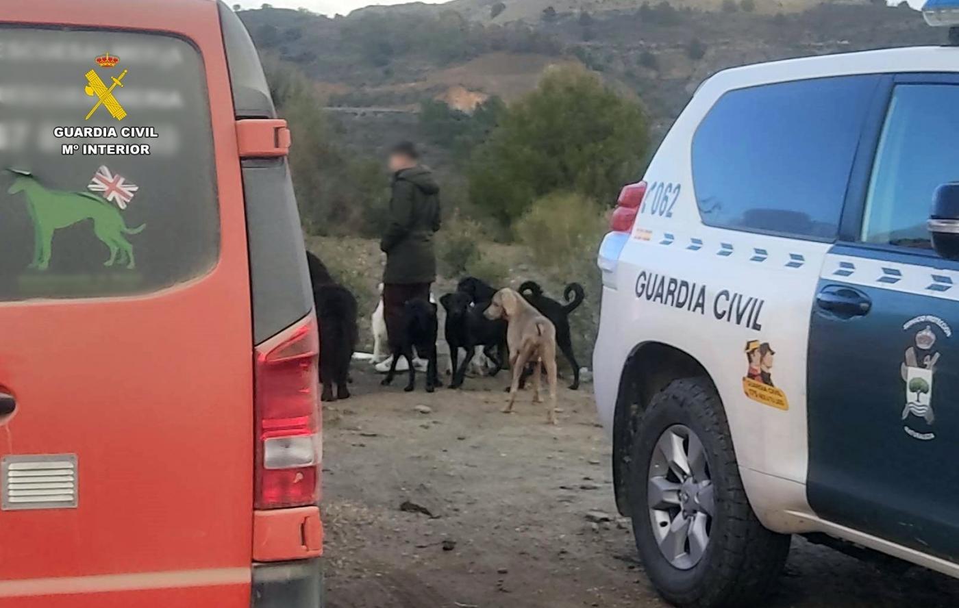 Desmantelado un criadero ilegal de perros en Macael