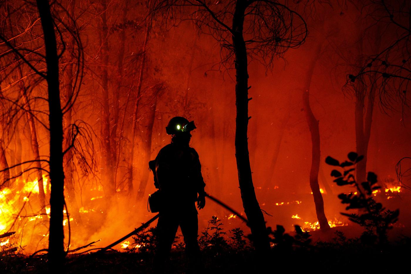 Grecia solicita ayuda europea para combatir los incendios forestales 