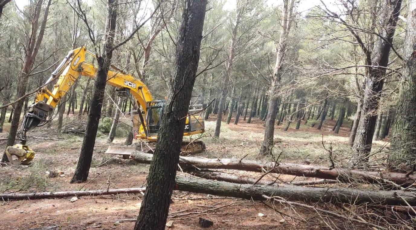 Más de 500 toneladas de madera de Sierra de las Nieves para calentar edificios públicos  