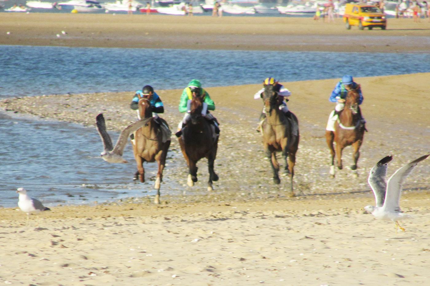 Los jinetes, los caballos y las gaviotas 'luchan' por ganar - Raúl J. Bustillos