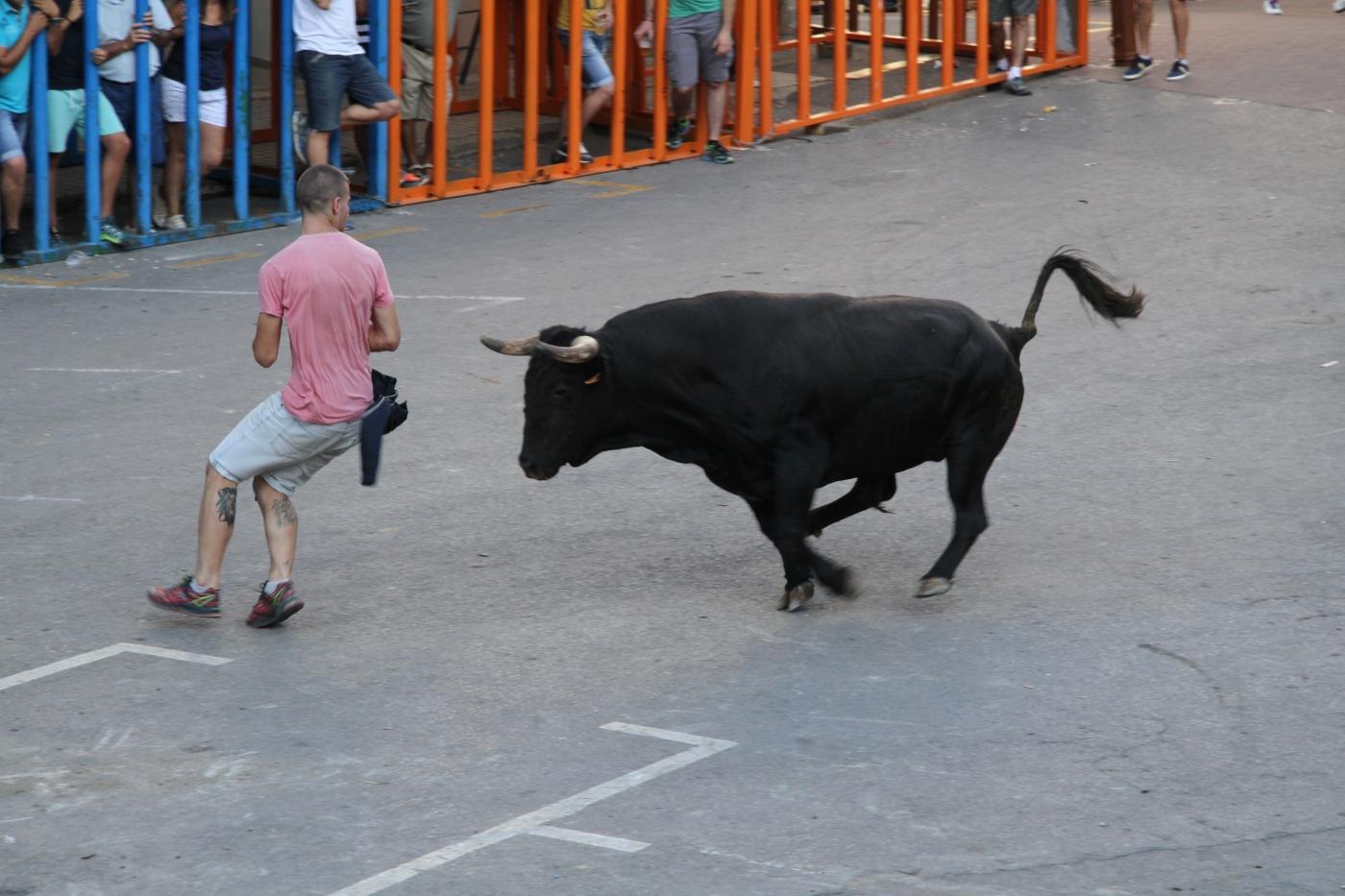 Bous al carrer en Vilafamés. - Europa Press.