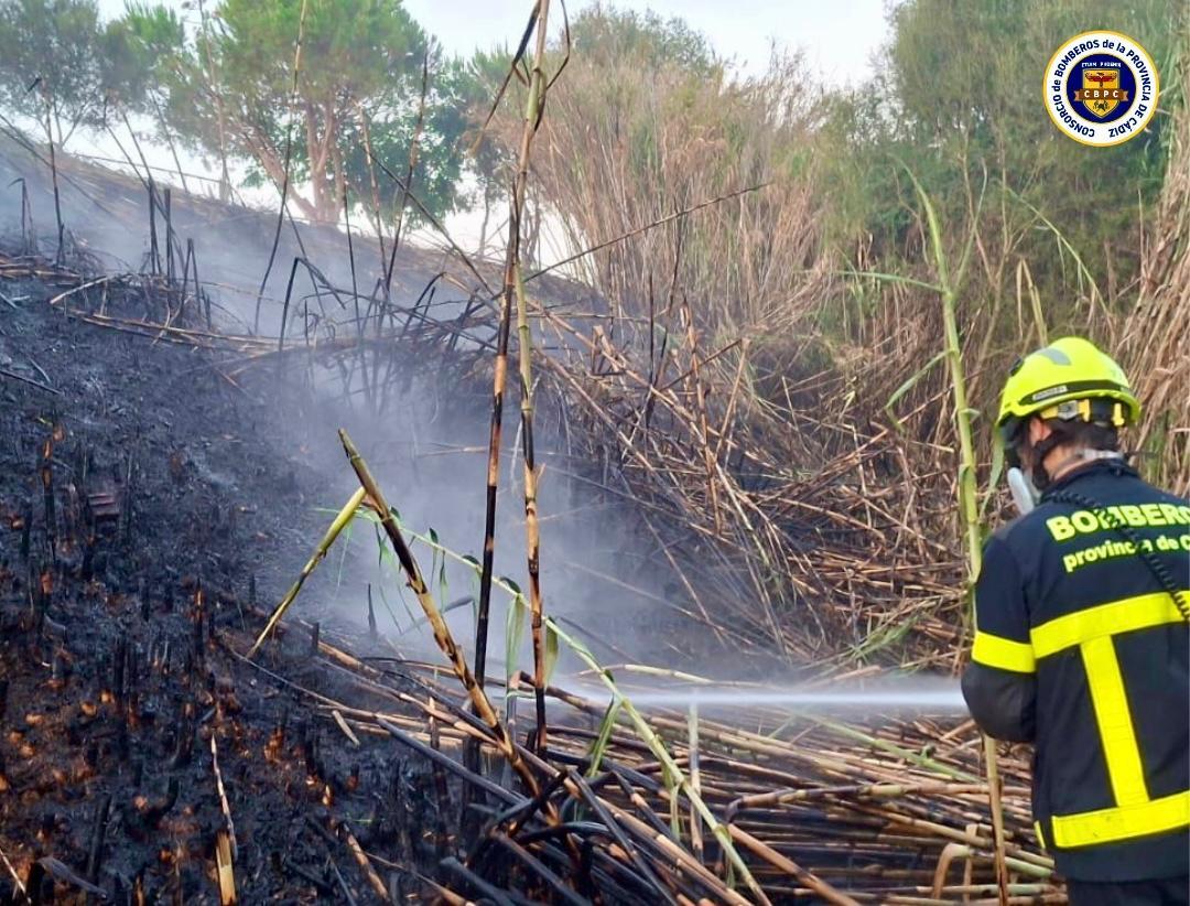 Incendio de cañaveral en Algeciras. - CBPC