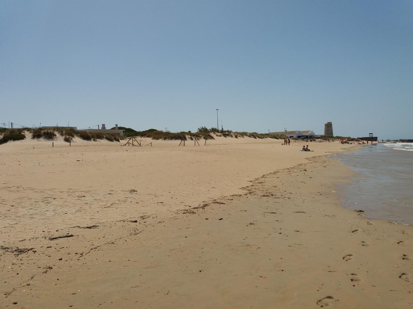 Interceptados 3.500 kilos de hachís y 1.400 litros de combustible en El Palmar