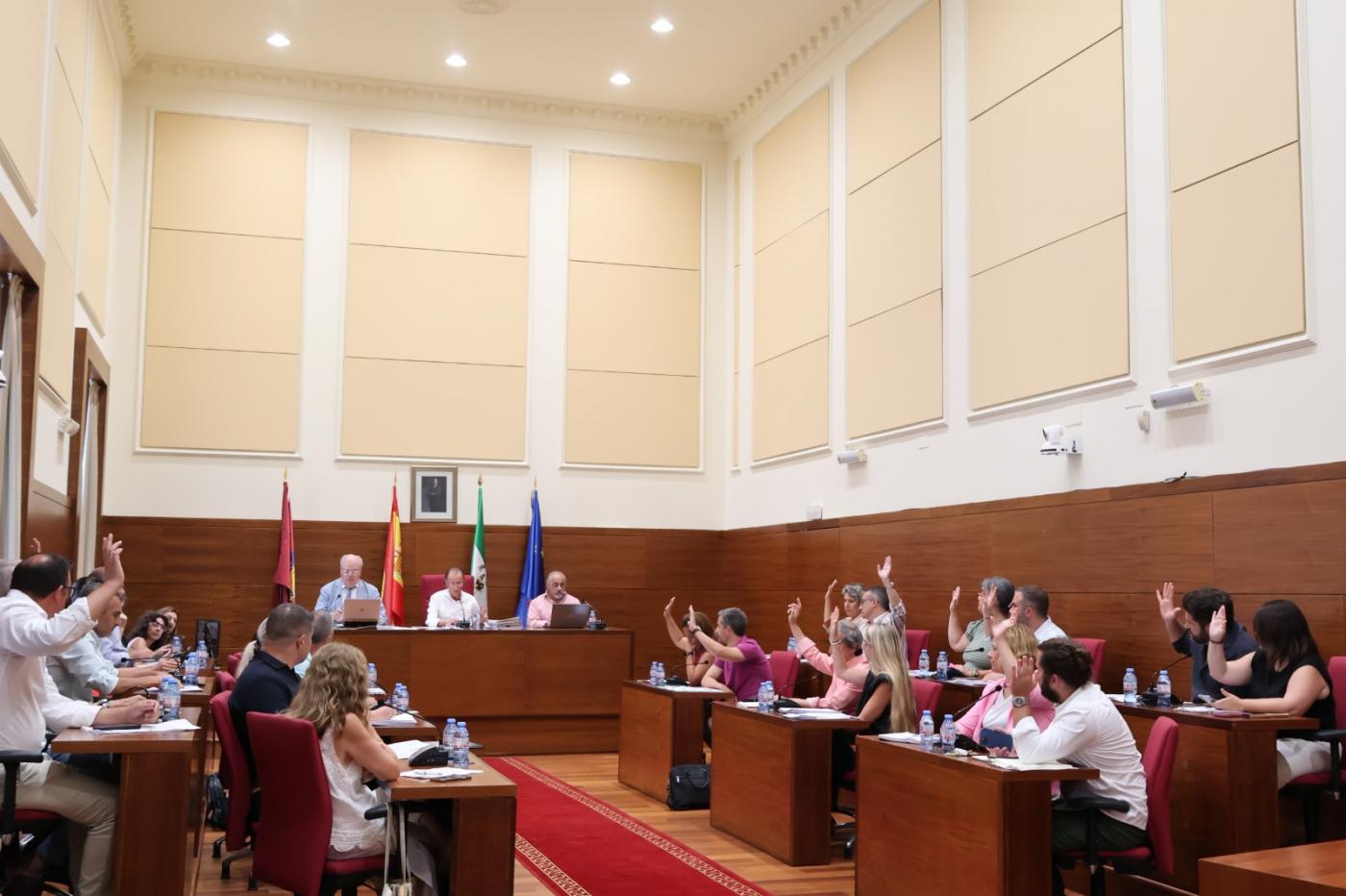 Imagen del Pleno celebrado esta mañana - VIVA