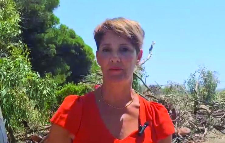 Estudian denunciar al Ayuntamiento de Estepona por destrucción de Dunas de Matas Verdes
