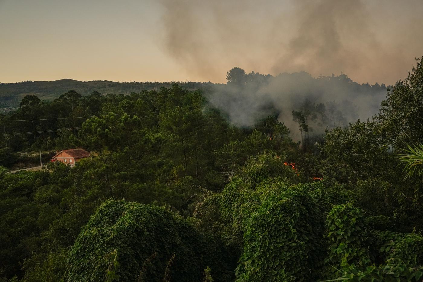Vista del fuego, a 29 de julio de 2025, en Arbo. - Europa Press.