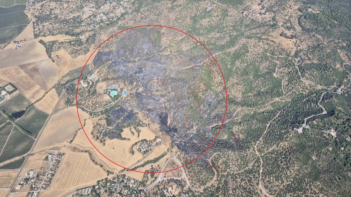 El CMC pide, tras el fuego en La Albaida, un plan de emergencias 