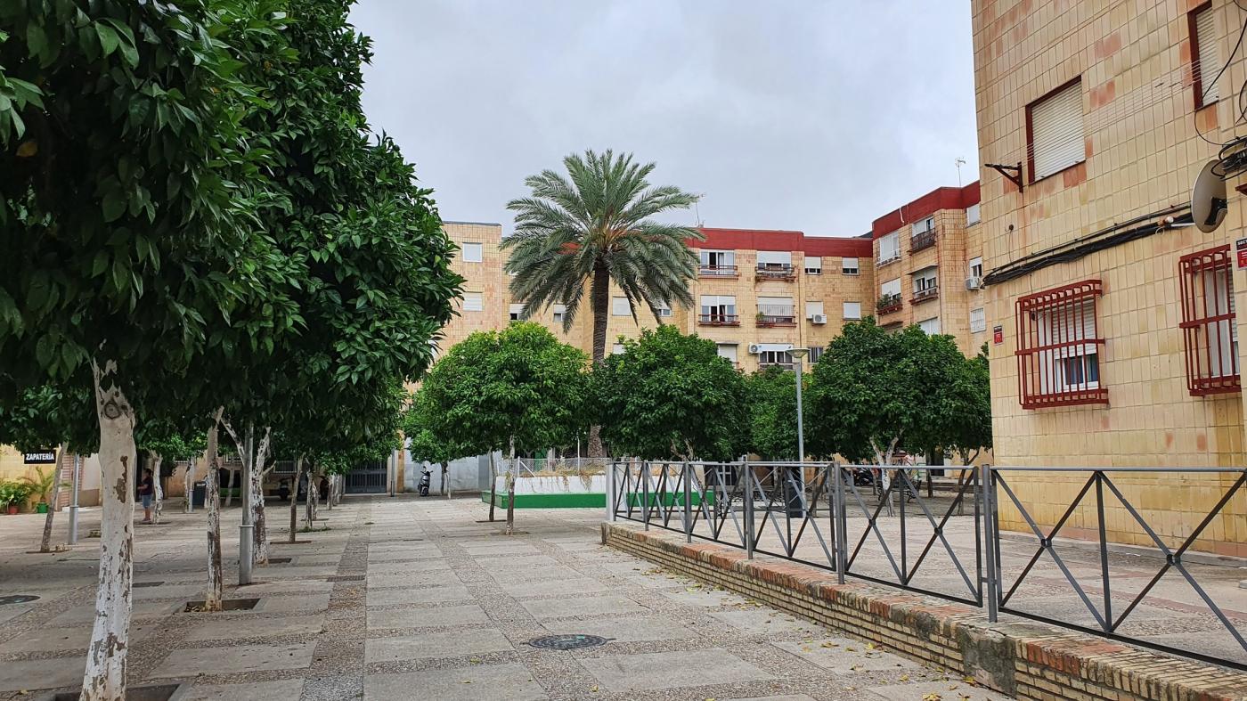 Medio Ambiente niega la presencia de pulgas en La Granja