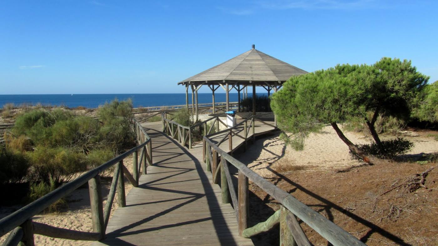 Los Amigos de los Espacios Naturales prepara un paseo por el pinar de La Almadraba