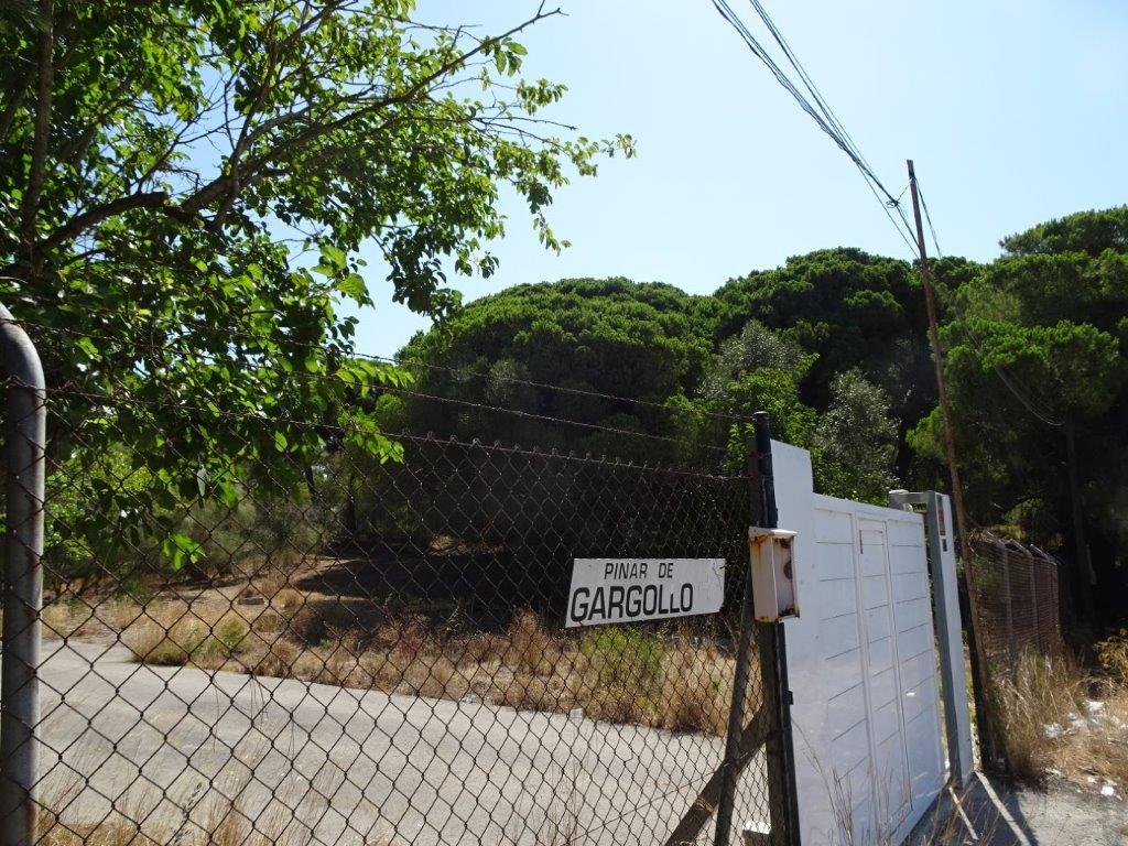 La Junta informa negativamente el proyecto de camping de lujo en el pinar de Gargollo
