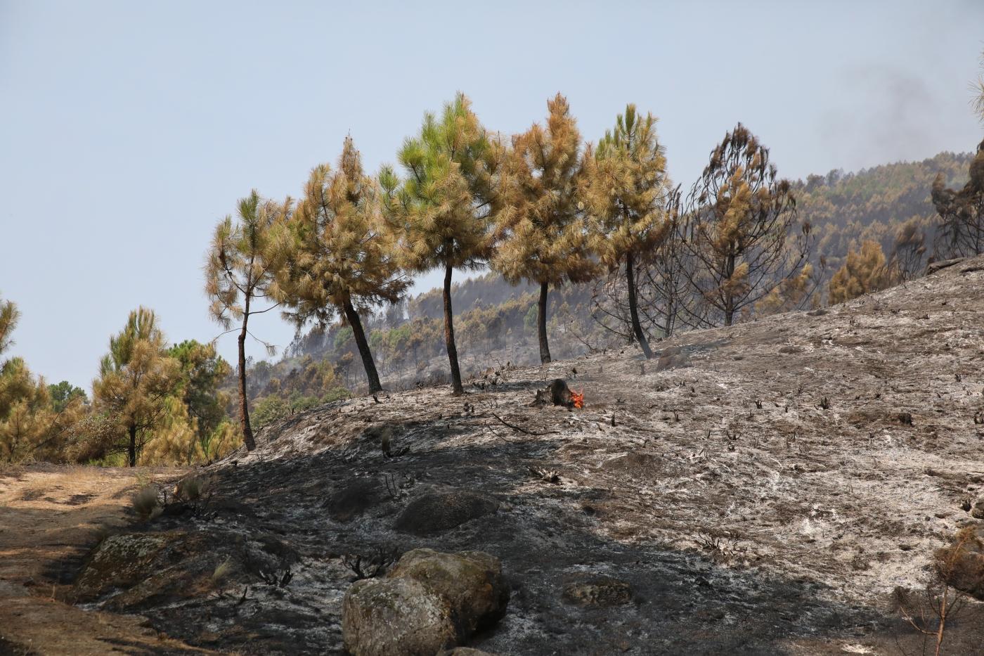 El incendio de Cuevas del Valle  sigue sin reproducciones tras una noche 