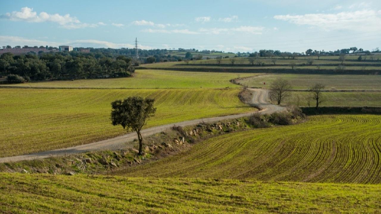 Explotaciones agrícolas. - EP
