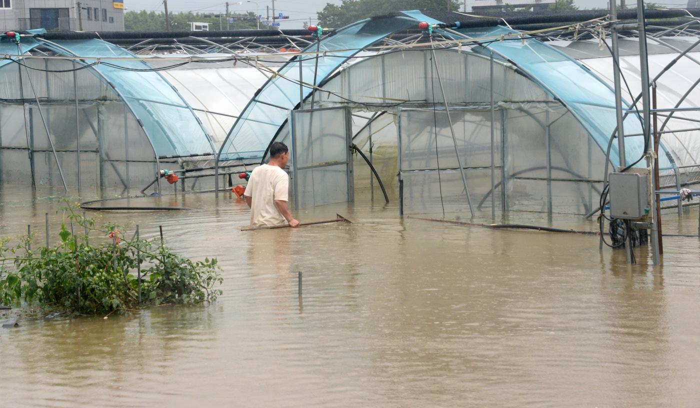 Más de 2.500 evacuados por lluvias torrenciales en la zona meridional de Corea del Sur