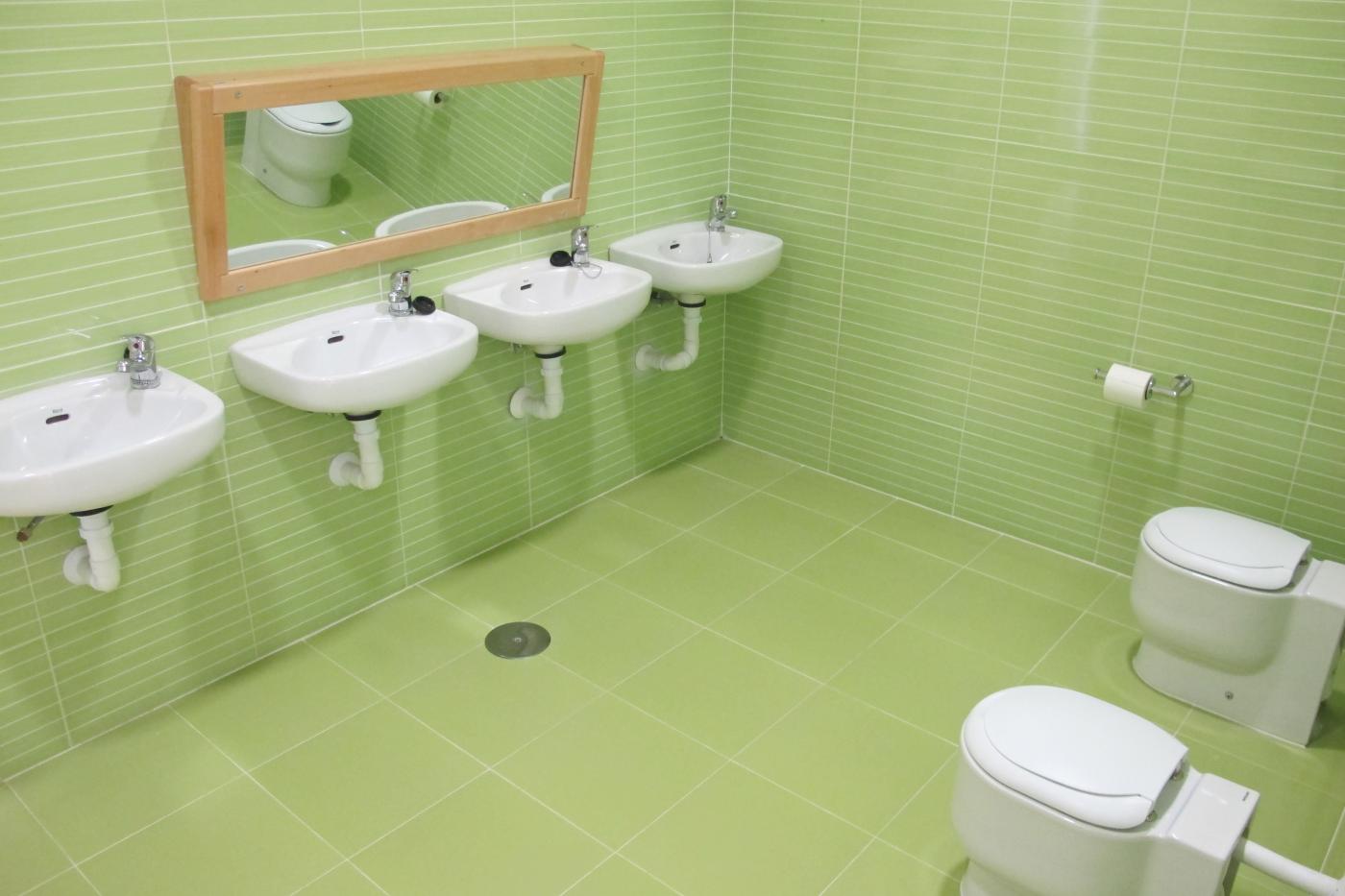 Baño adaptado. O. P.