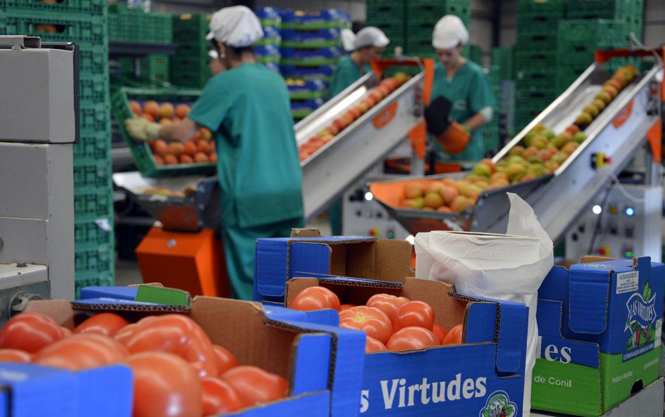 Cooperativa Las Virtudes. gema lópez