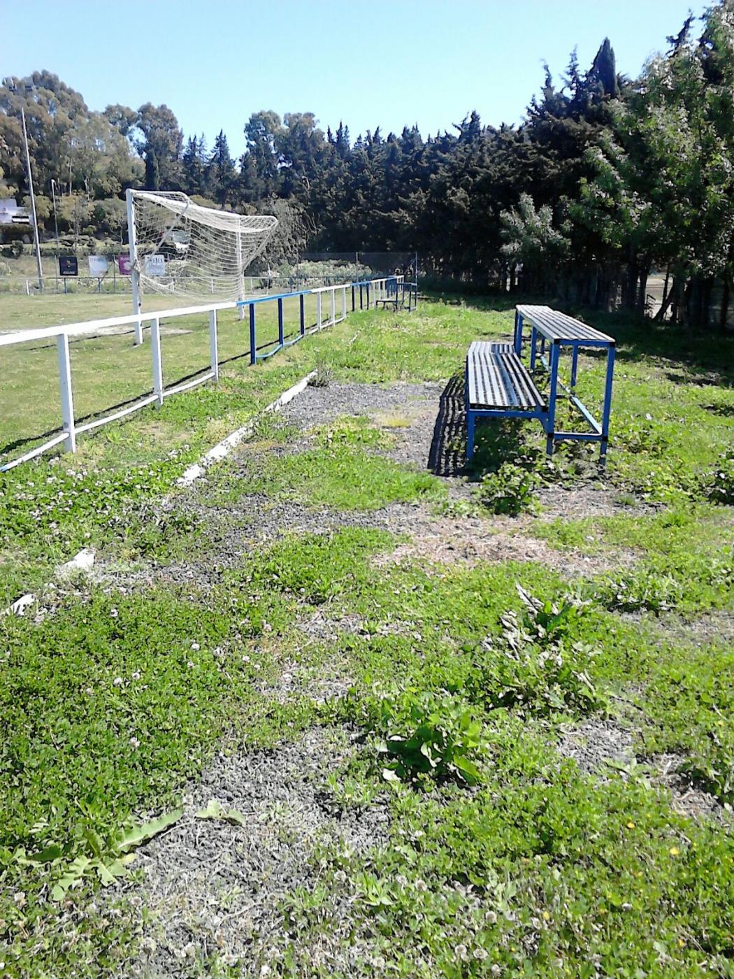 Estado del campo A.I.
