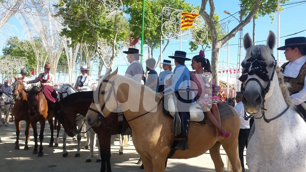 LUNES DE FERIA VIVA