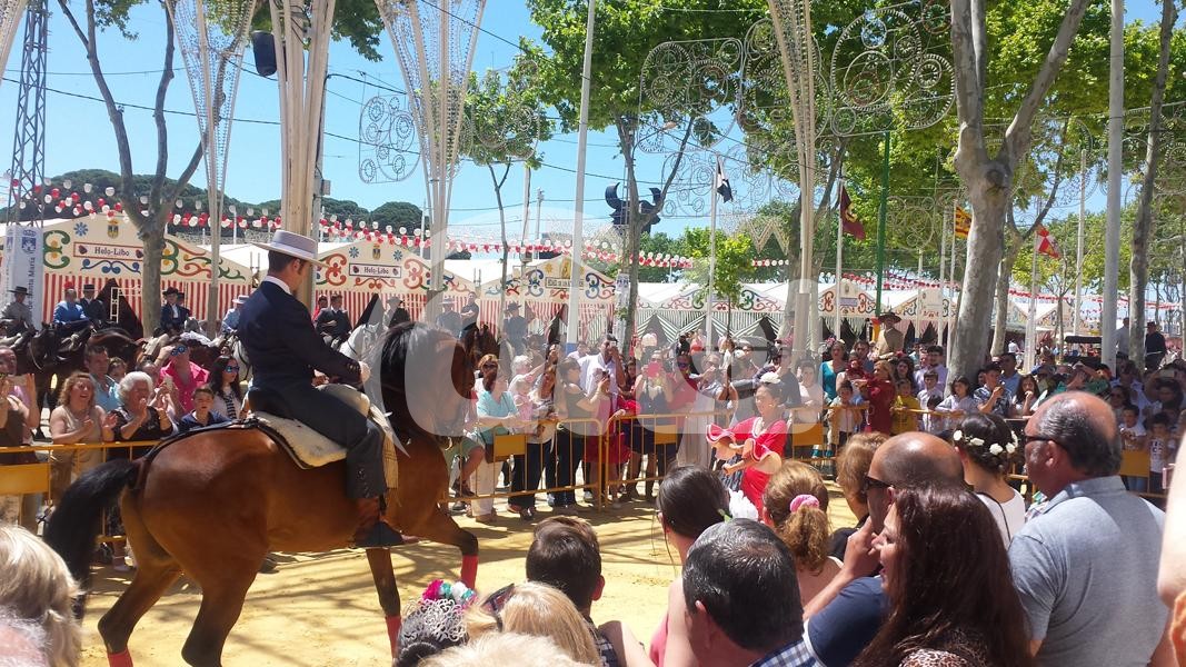 LUNES DE FERIA VIVA