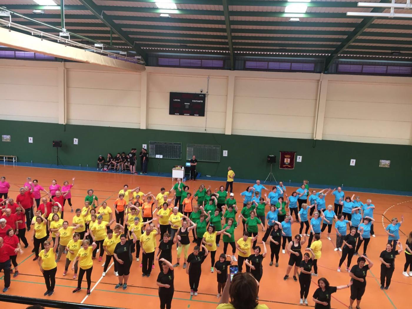 Participación conileña en las XI Olimpiadas de Mayores ‘Sierra y Mar’ 