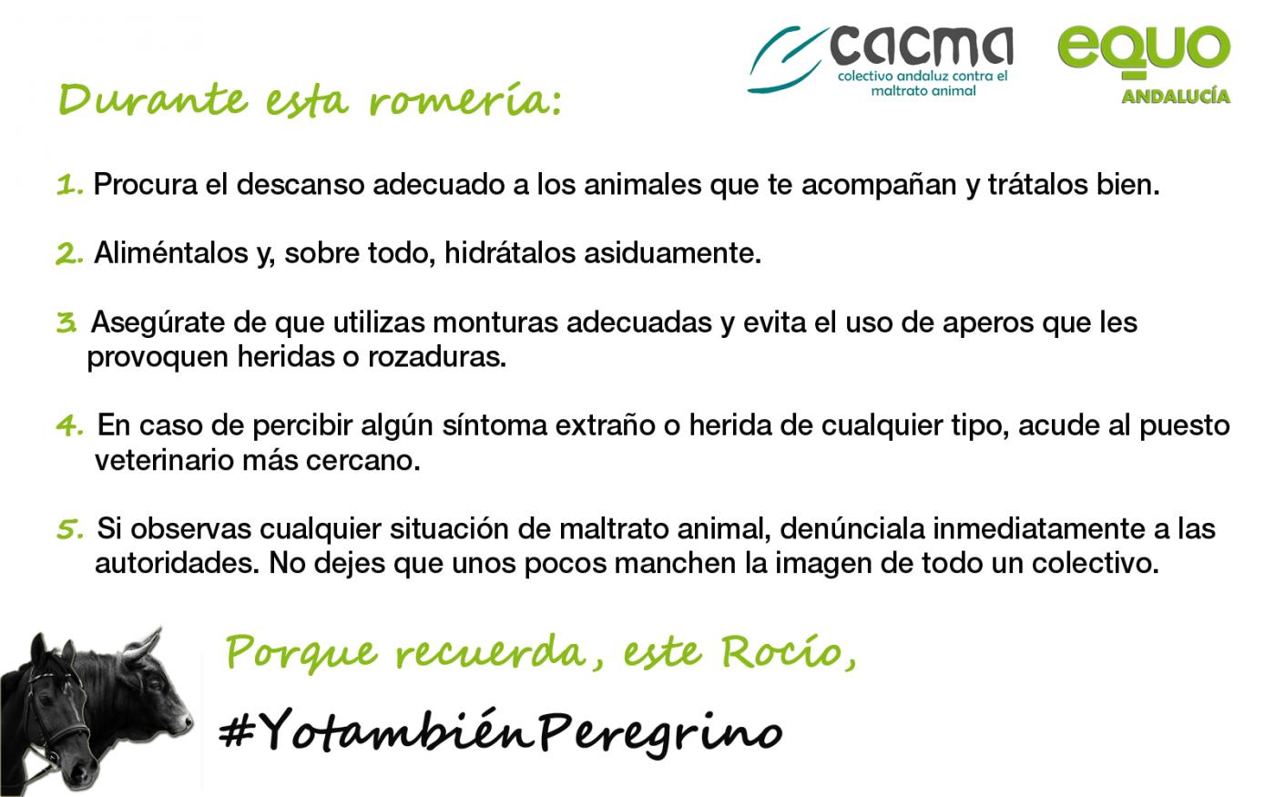 Consejos de la campaña VH