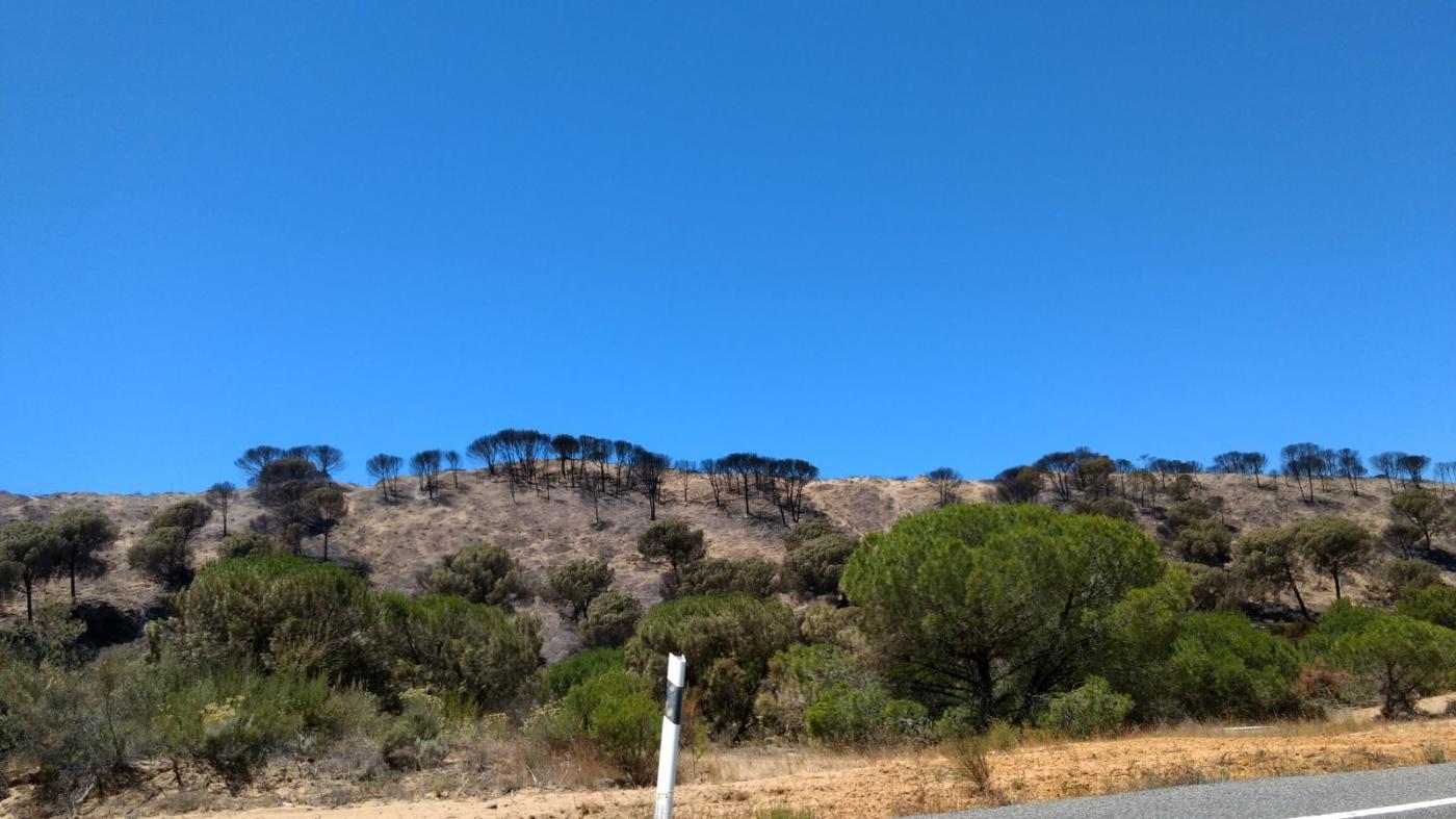 Segundo día de incendio edu siles