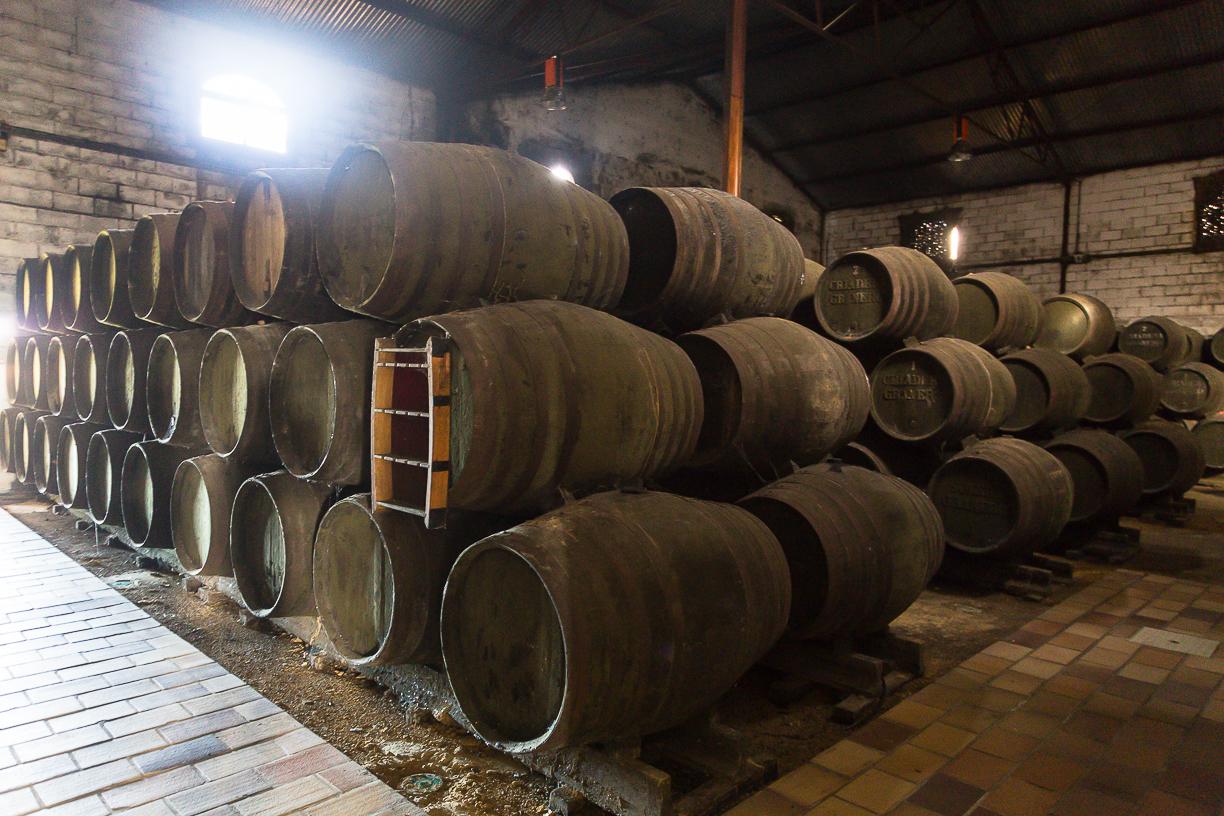 Las bodegas de Chiclana son otro gran referente en la provincia Cristo García