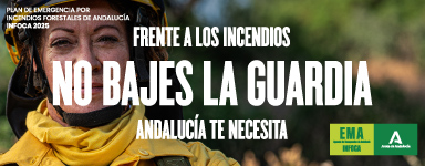 Publicidad Ai