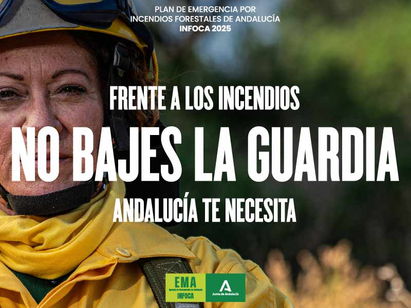 Publicidad Ai