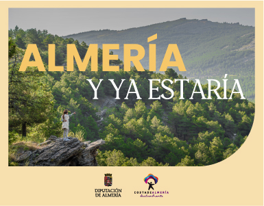 Publicidad Ai